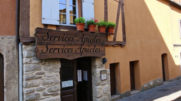 Découvrez des services apicoles abordables à Marly